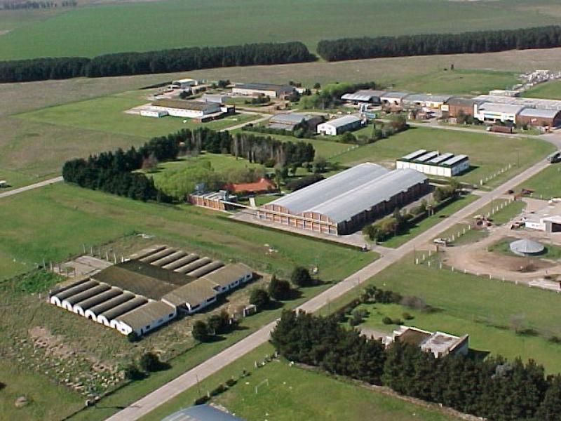 Parque Industrial fines de los 80-1 Parque Industrial fines de los 80-1